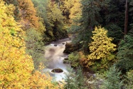 Autumn Color, Coquille River, Oregon   