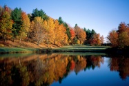 Autumn Reflections, Vermont      ID 124