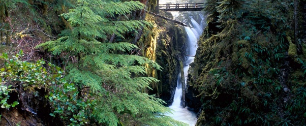 Bridge Over Sol Duc Falls, Olympic National Park (click to view)