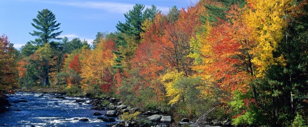 Colors of New England (click to view)
