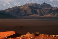 Dawn, Namib Desert, Namibia      ID 257