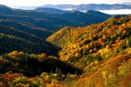Deep Creek Valley, Great Smoky Mountains Nationa
