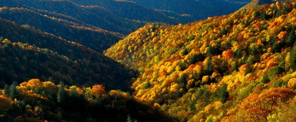 Deep Creek Valley, Great Smoky Mountains Nationa (click to view)