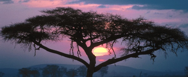 East African Sunset (click to view)