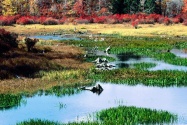 Fall Pond, Ricketts Glen State Park, Pennsylvani