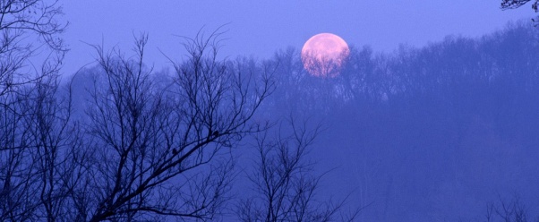 Full Moon Setting, Percy Warner State Park, Tenn (click to view)