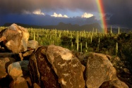 Hohokam Petroglyphs, Saguaro National Park, Ariz