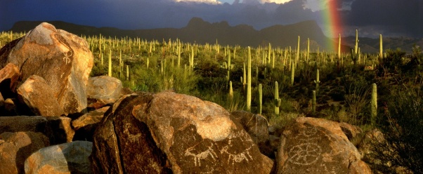 Hohokam Petroglyphs, Saguaro National Park, Ariz (click to view)