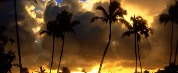 Kapa'a Sunrise, Kauai, Hawaii      ID 4 (click to view)
