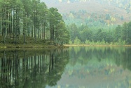 Loch An Eilein, Scotland      ID 41782