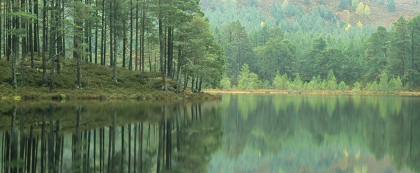 Loch An Eilein, Scotland      ID 41782 (click to view)