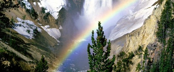Lower Falls, Yellowstone National Park (click to view)