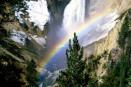 Lower Falls, Yellowstone National Park   1600x12