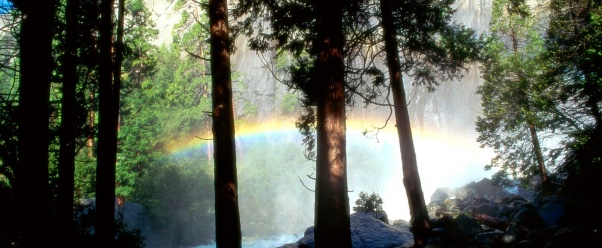 Misty Rainbow, Yosemite National Park, Californi (click to view)