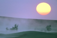 Misty Sunrise, North Dakota      ID 449