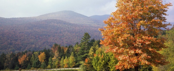 Mount Mansfield, Vermont      ID 34904 (click to view)
