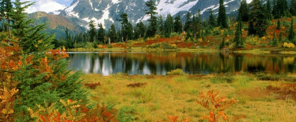 Mount Shuksan, North Cascades, Washington   1600 (click to view)
