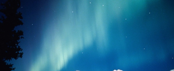 Night Lights, Aurora Borealis, Alaska    (click to view)