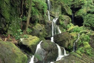 Roaring Fork, Smoky Mountains, Tennessee   1600x