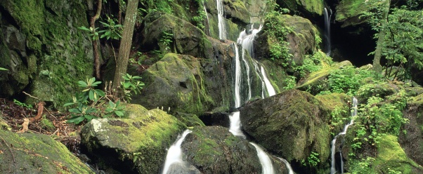 Roaring Fork, Smoky Mountains, Tennessee   1600x (click to view)