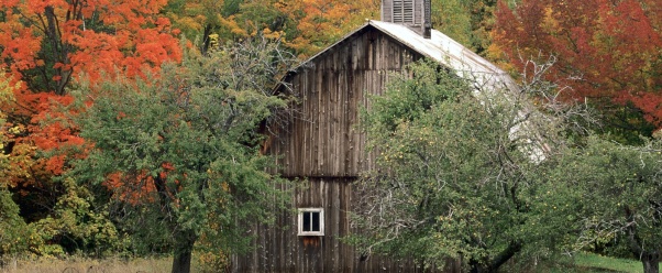 Rustic Barn, Leelanau County, Michigan   1600x12 (click to view)