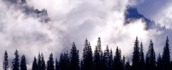Storm Clouds Swirl, Washington    (click to view)