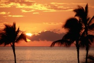 Sunset in the Tropics, Maui      ID 261