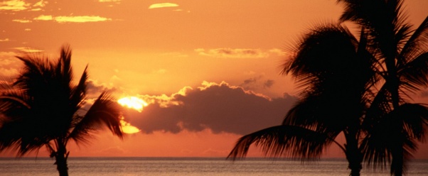 Sunset in the Tropics, Maui      ID 261 (click to view)