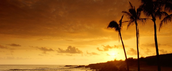 Sunset, Kauai, Hawaii      ID 15768   P (click to view)