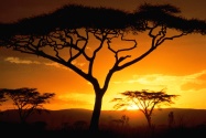 Tanzanian Sunset      ID 36728