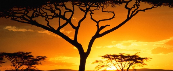 Tanzanian Sunset      ID 36728 (click to view)