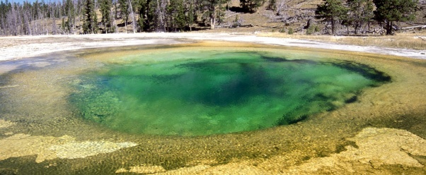 Upper Geyser Basin, Yellowstone National Park, W (click to view)