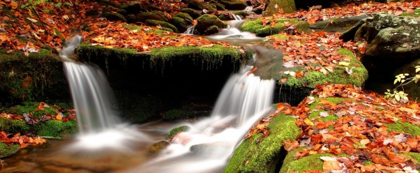 Wesser Creek in Autumn, Nantahala National Fores (click to view)