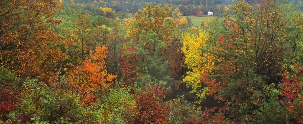 White Church in Autumn, North Carolina   1600x12 (click to view)