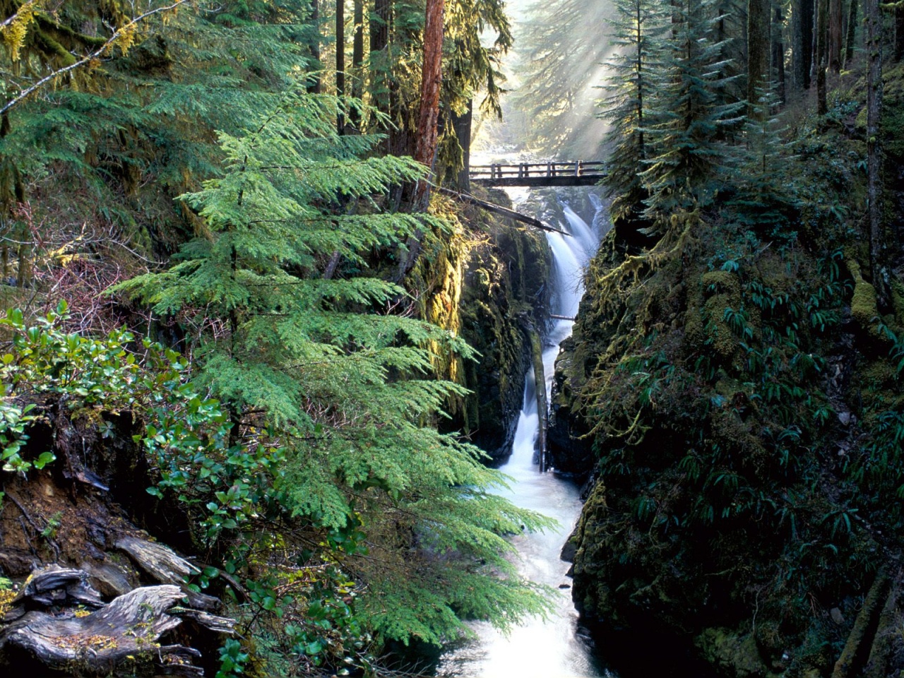 Bridge Over Sol Duc Falls, Olympic National Park 1280x960 699142