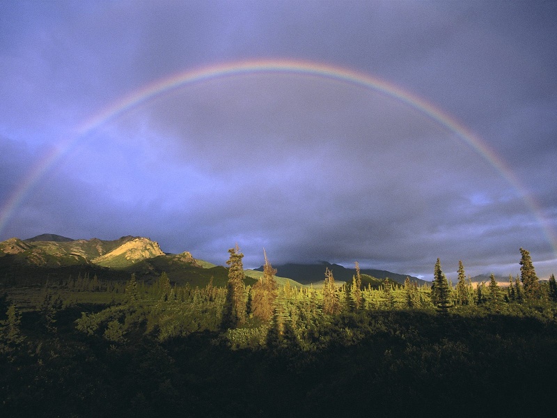 ��� ����� ���� ���  , ��� ���, ��� 2017 full_rainbow_fall_de