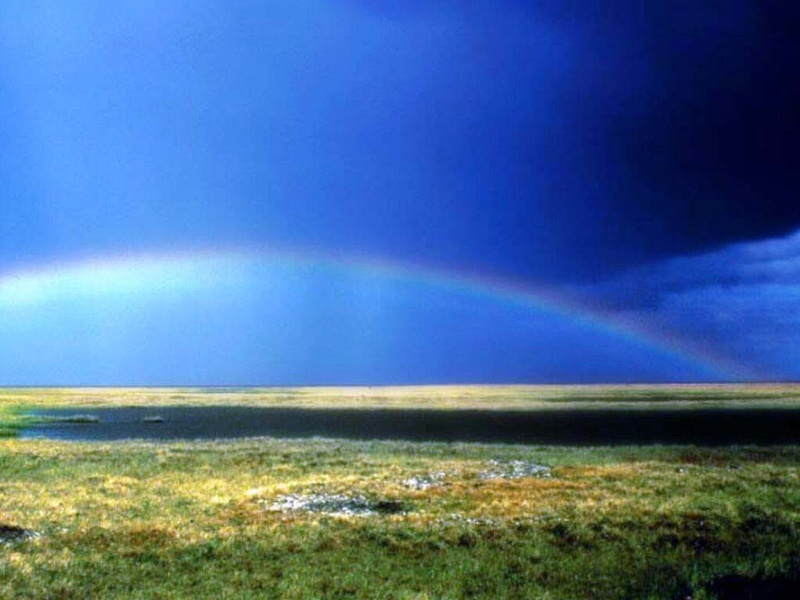 ��� ����� ���� ���  , ��� ���, ��� 2017 landscape_rainbow__1