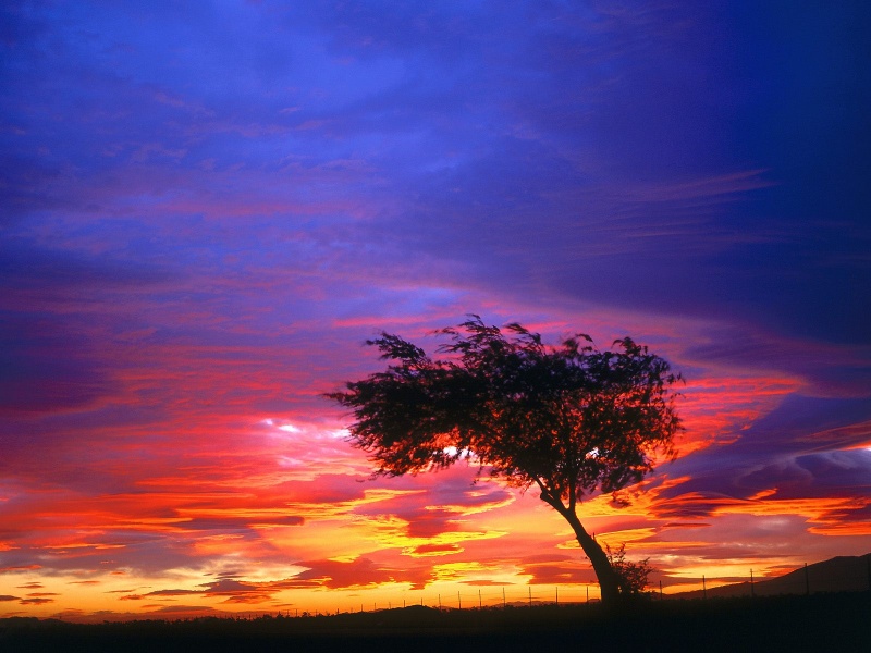 Sunrise, Palmdale, California      ID 3