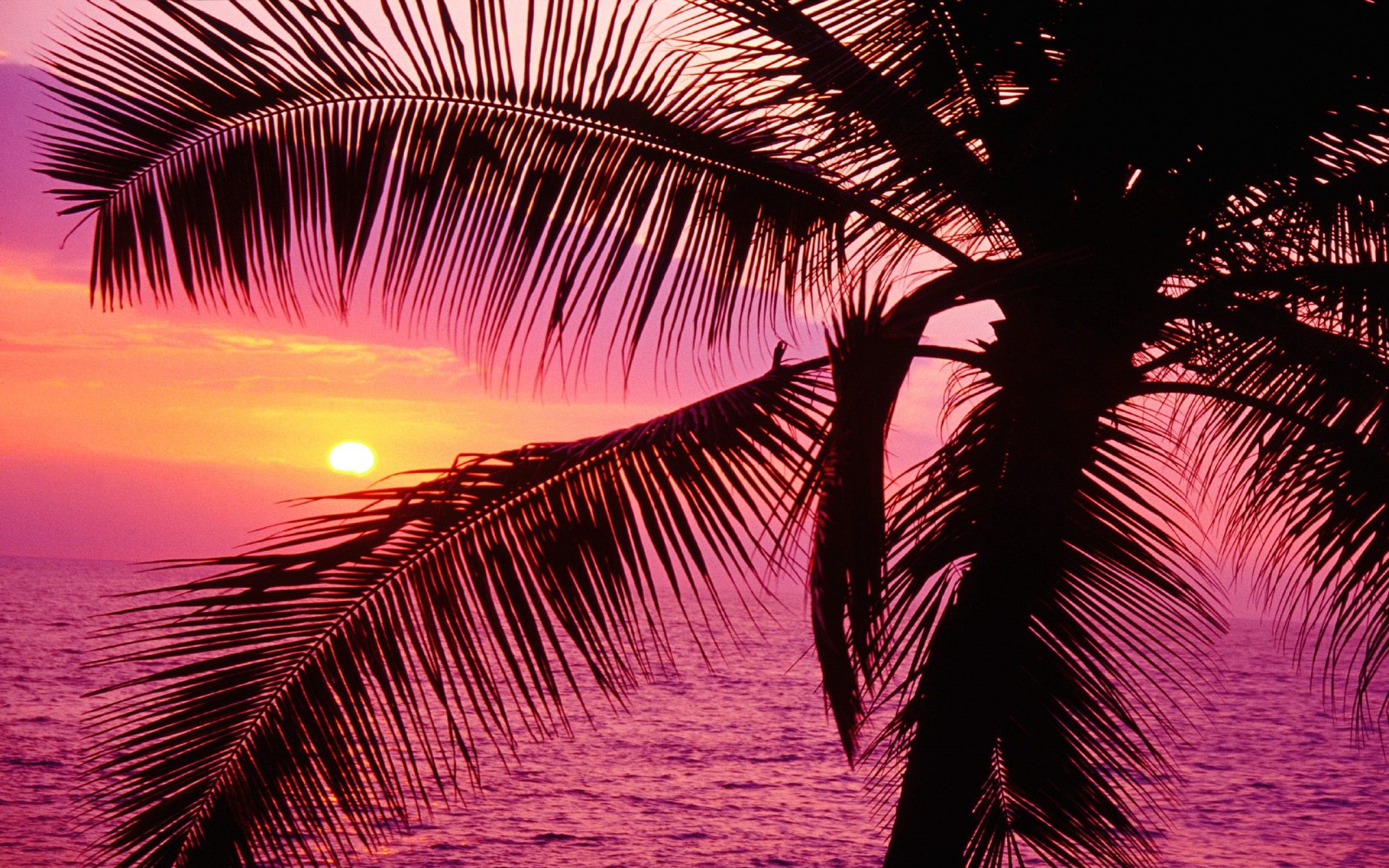 Costa Rica'S Economic Divide: A Third World Struggle In A Tropical Setting - 4aqwv0d