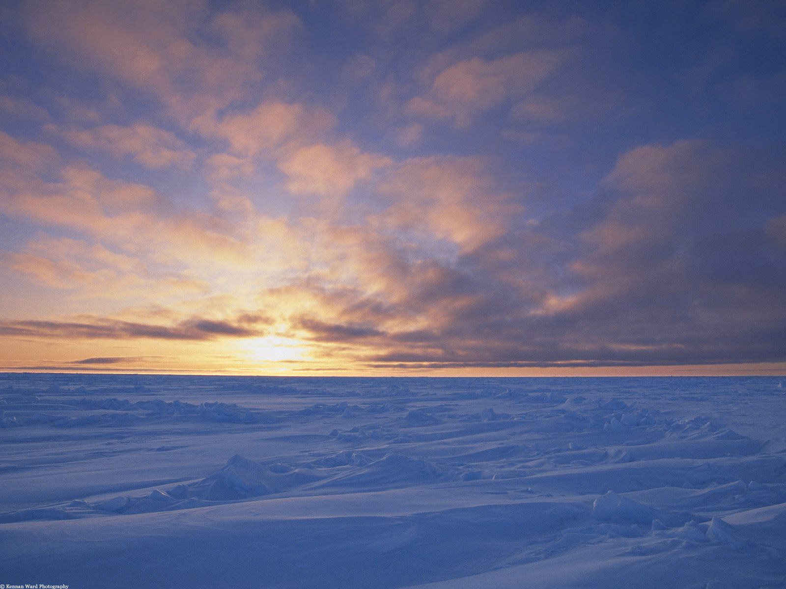 Arctic Ice Pack at Sunset, Canada