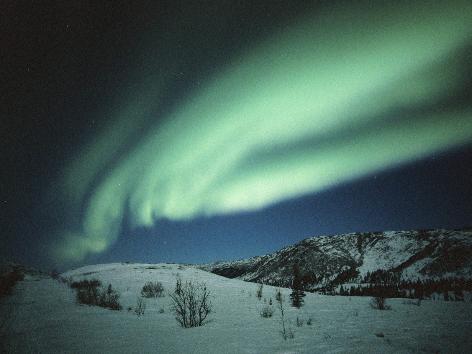 Dancing Northern Lights, Alaska      ID