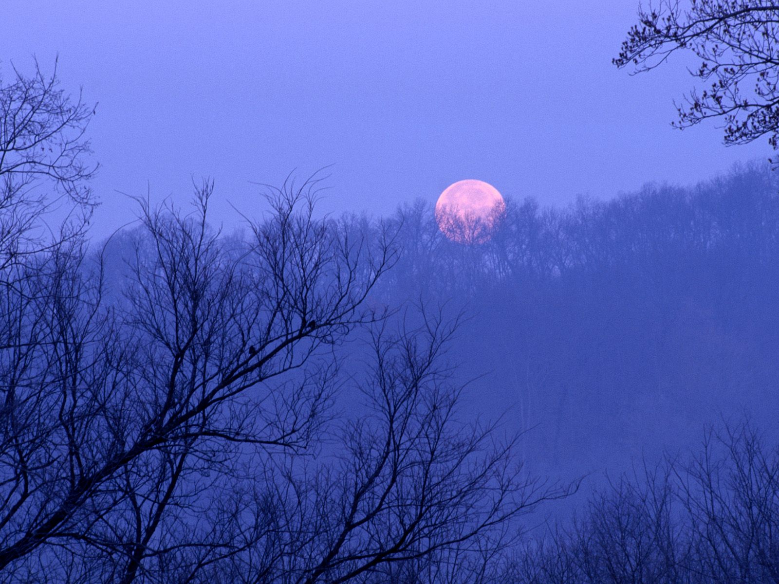 Full Moon Setting, Percy Warner State Park, Tenn