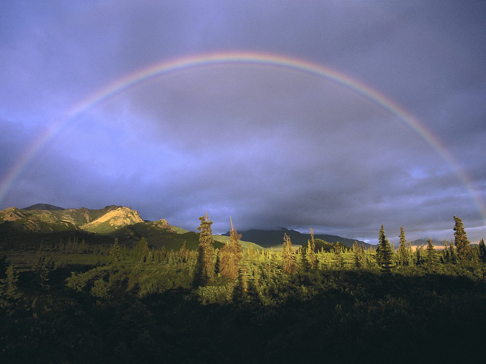 Full Rainbow Fall, Denali National Park, Alaska