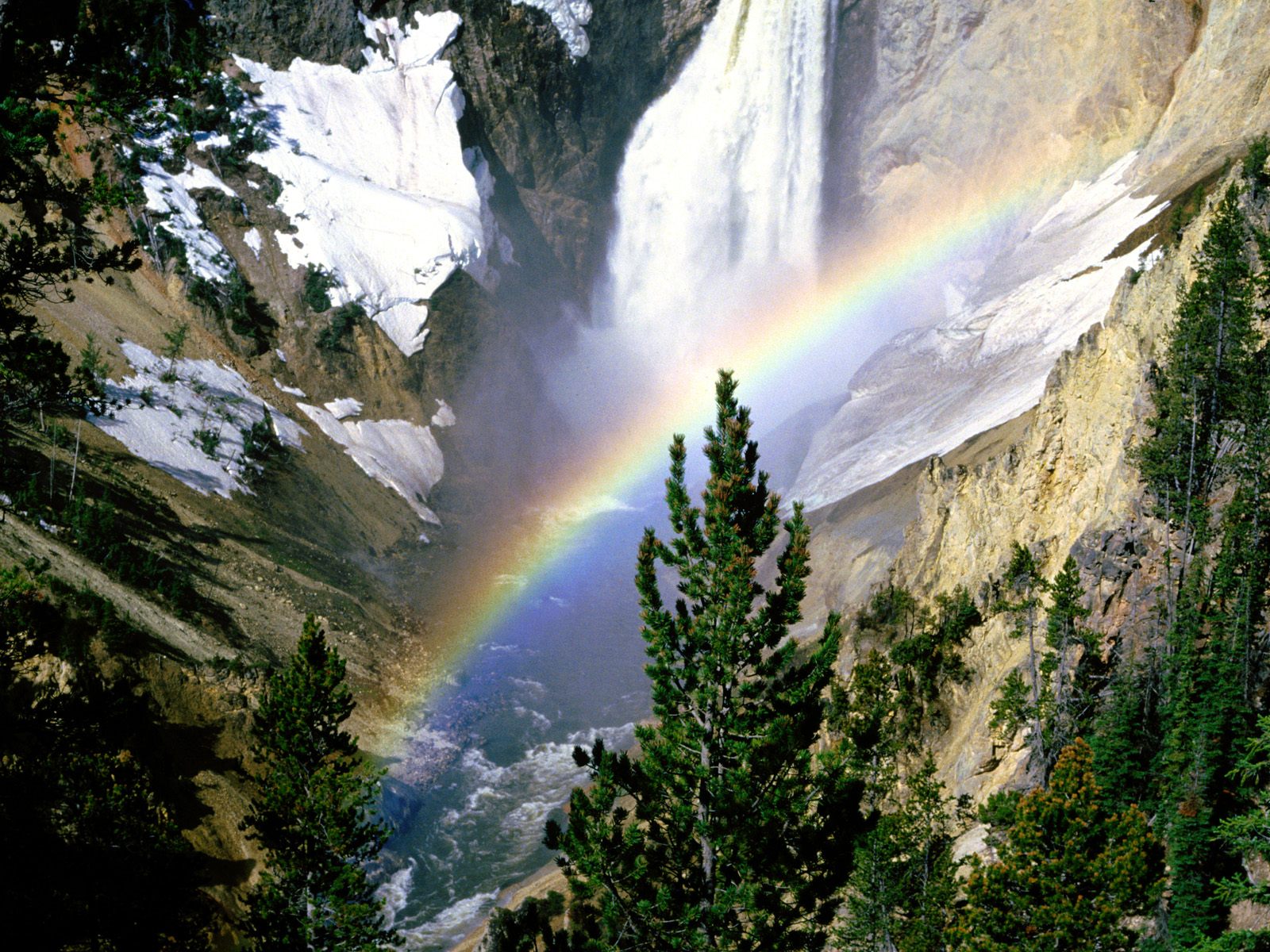 Lower Falls, Yellowstone National Park   1600x12