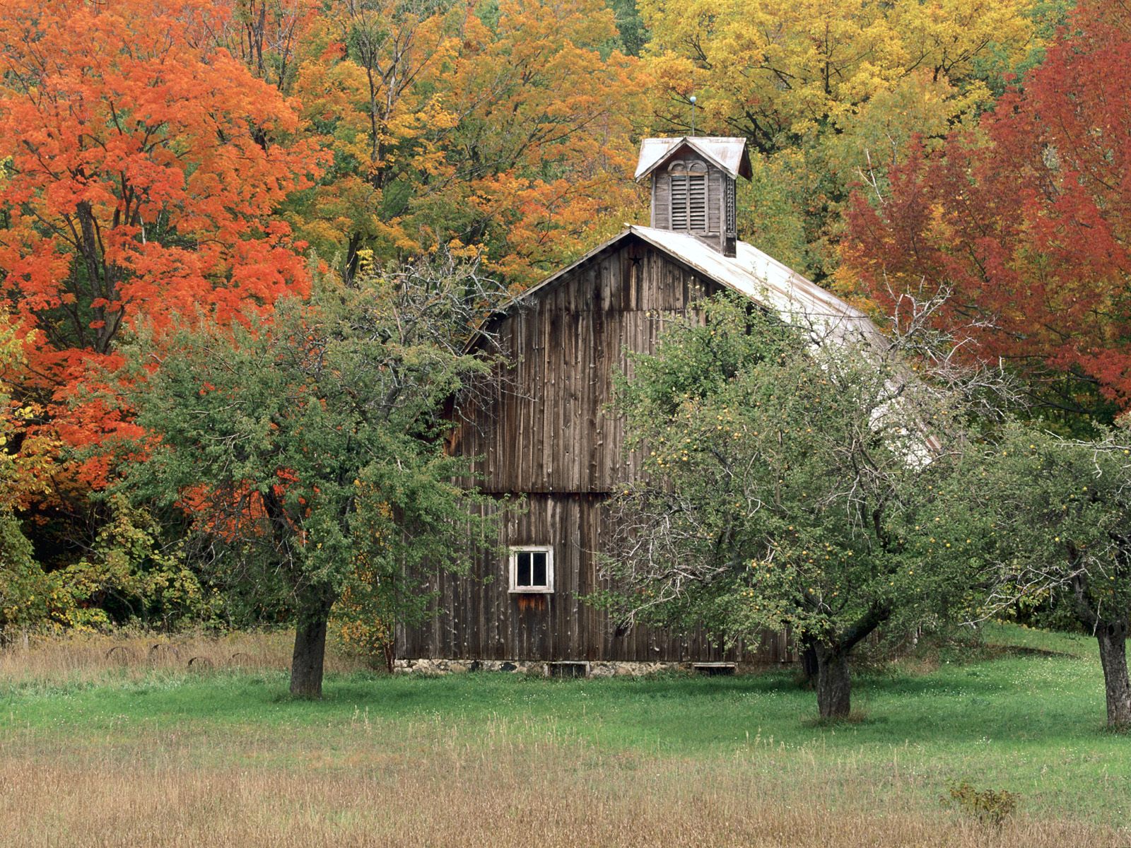 Rustic Barn, Leelanau County, Michigan   1600x12