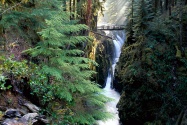 Bridge Over Sol Duc Falls, Olympic National Park