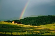 Color and Light, Steamboat, Colorado   