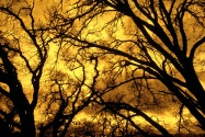 Devil's Sky, Mount Diablo, California   