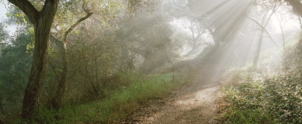 Douglas Family Preserve, Santa Barbara, Californ (click to view)