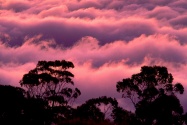 Haleakala National Park, Maui, Hawaii